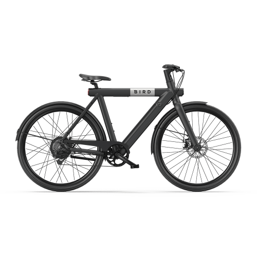 Bird Bike A Frame