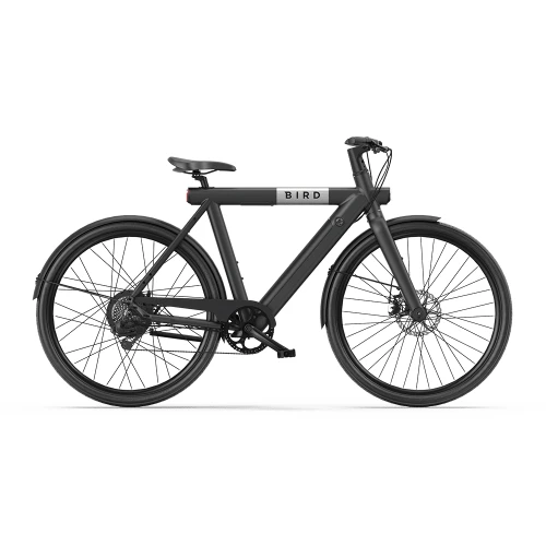 Bird Bike A Frame
